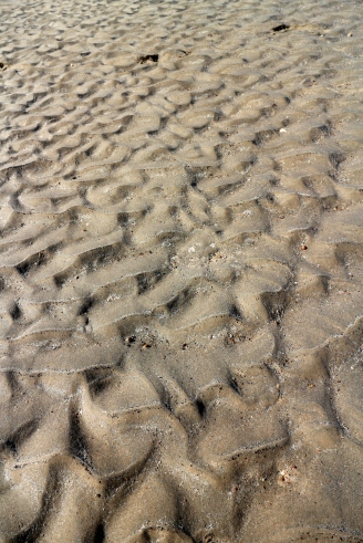 Terrain formed by waves at Mandvi Beach